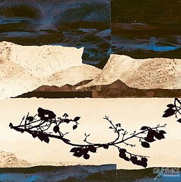 671 KamvasStillLife