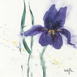 644 flowerscamvas