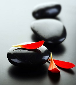 411 fototapetsariaImagination 180X202