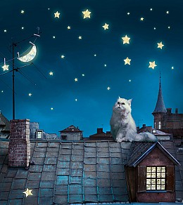 424 fototapetsariaImagination 180X202