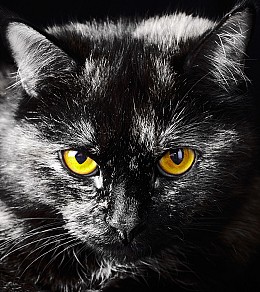 432 fototapetsariaImagination 180X202