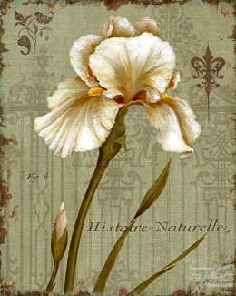 175 flowerscamvas