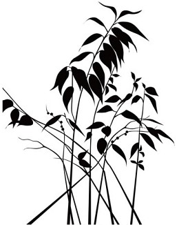 267 fototapetsaria