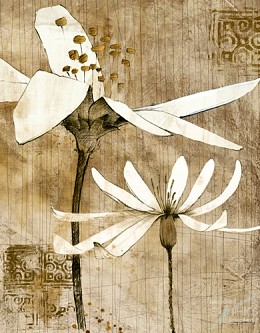 320 flowerscamvas