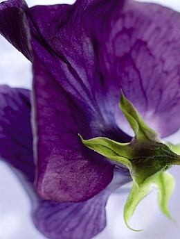 081 NationalGeographic