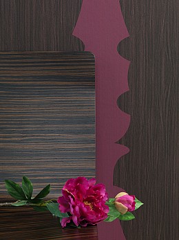 038 contempo