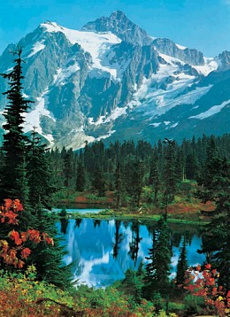 041 FototapetsariaEcoDor