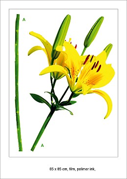 STICKNEW 044