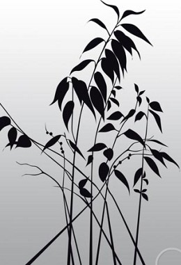149 fototapetsaria