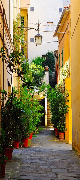 160 wallpapersfordoors