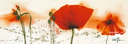 625 flowerscamvas