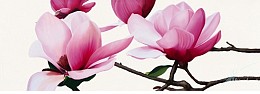 598 flowerscamvas