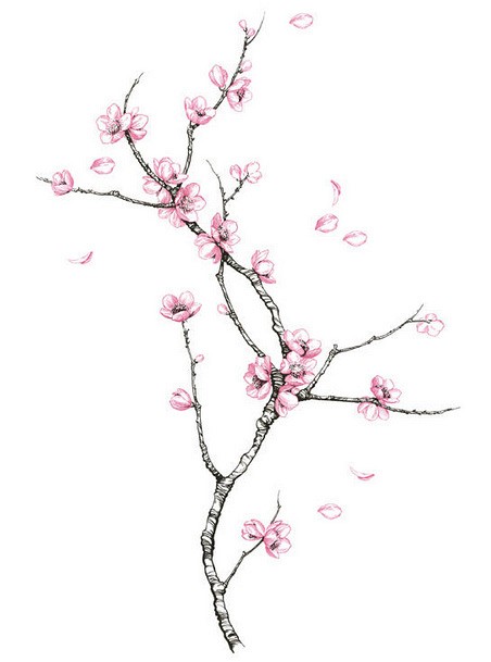 046 FototapetsariaSyl002