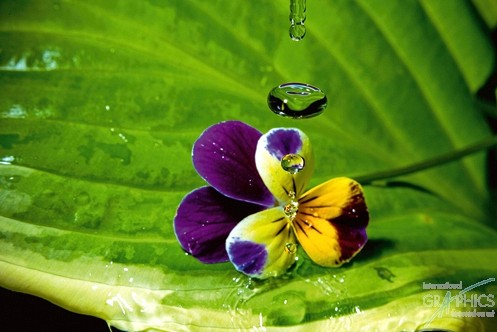 116 KamvasPhotography