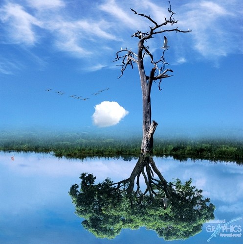 293 KamvasPhotography