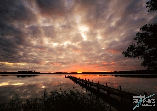 281 KamvasPhotography