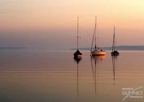 282 KamvasPhotography