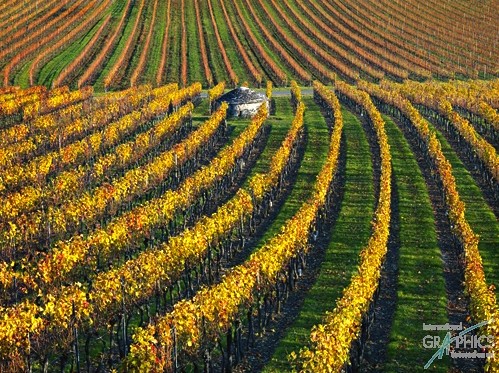 015 KamvasPhotography