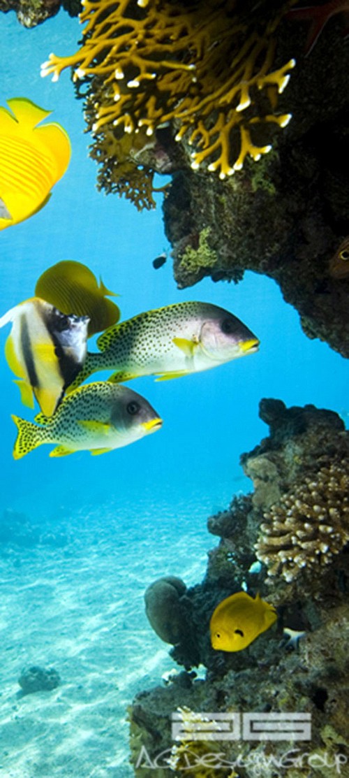 029 wallpapers for doors