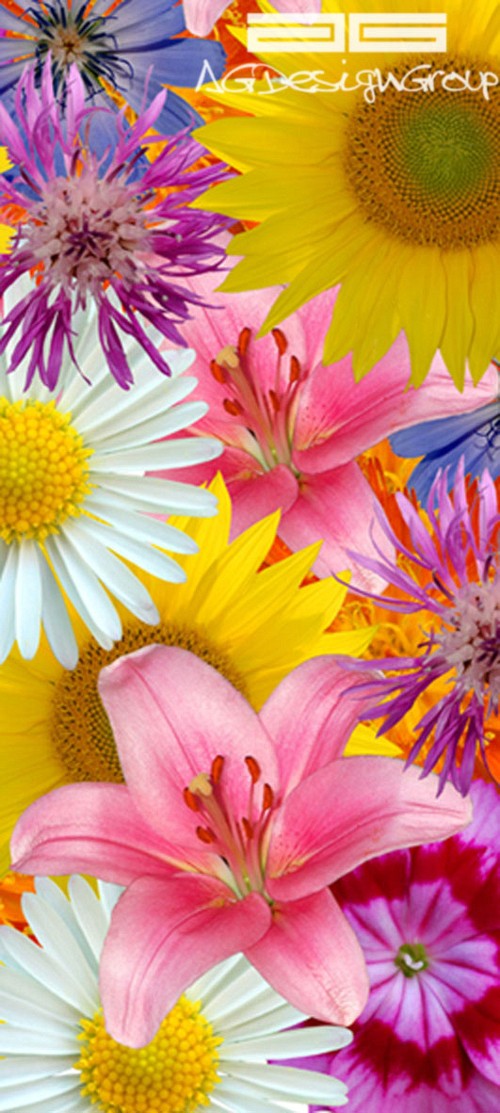 041 wallpapers for doors