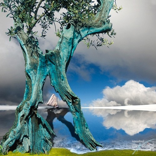 294 KamvasPhotography