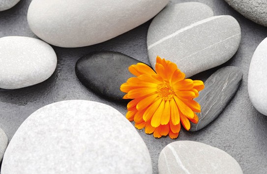 176 FototapetsariaEcoDor