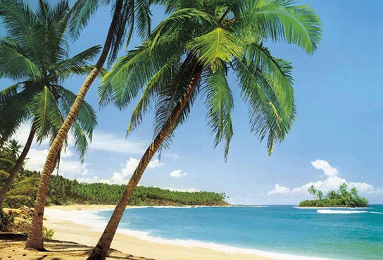 023 FototapetsariaEcoDor