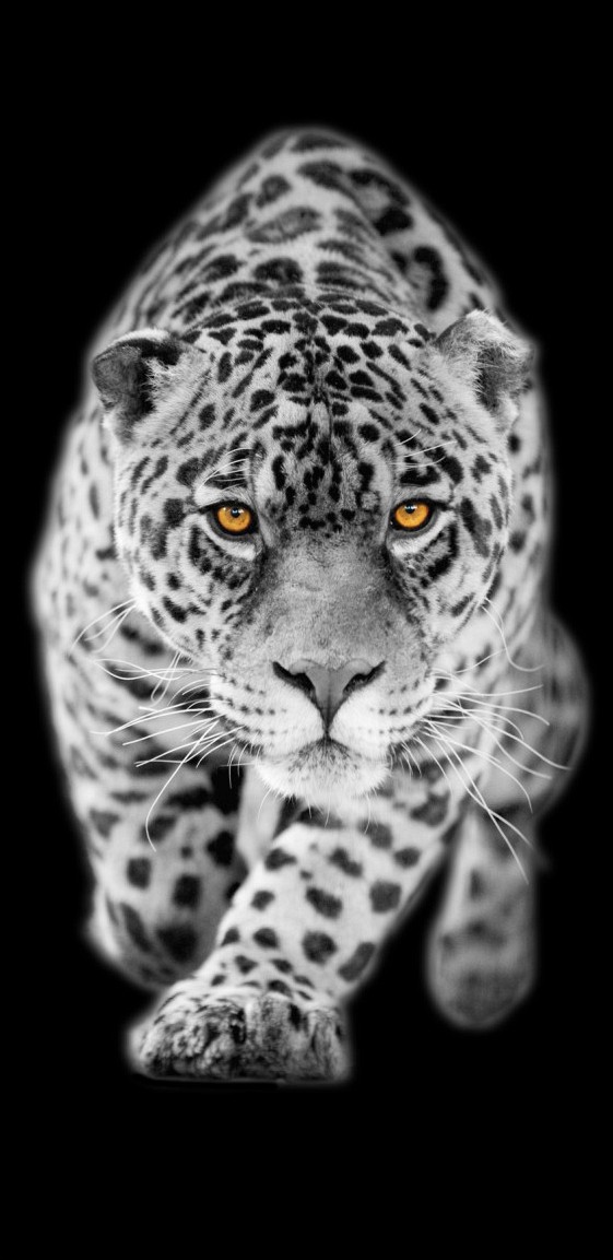 083 FototapetsariaSePlexiglas