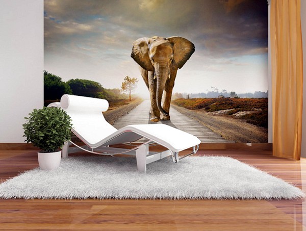 ΦΩΤΟΤΑΠΕΤΣΑΡΙΕΣ IMAGINATION