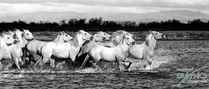 154 KamvasPhotography