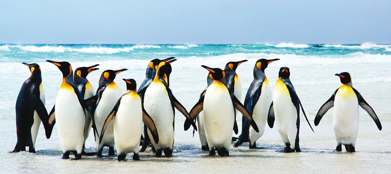 484 fototapetsariaImagination 202X090