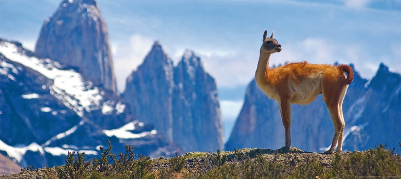 497 fototapetsariaImagination 202X090