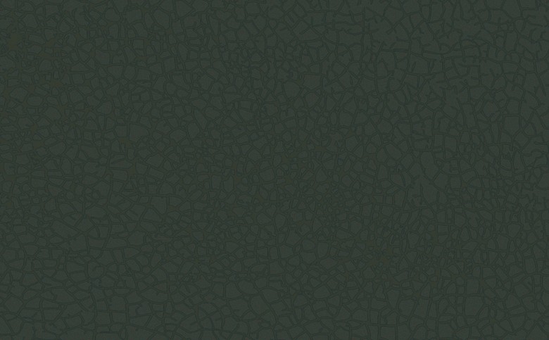 161 fototapetsariaExcess