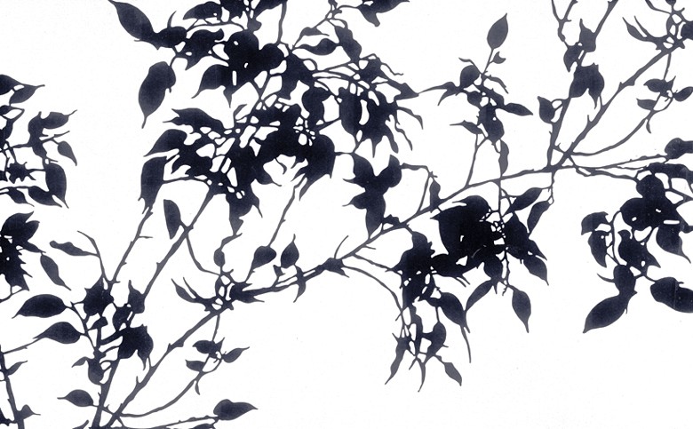 164 fototapetsariaExcess