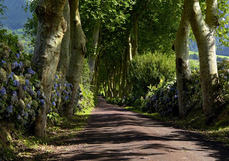 360 fototapetsariaImagination 360Χ254