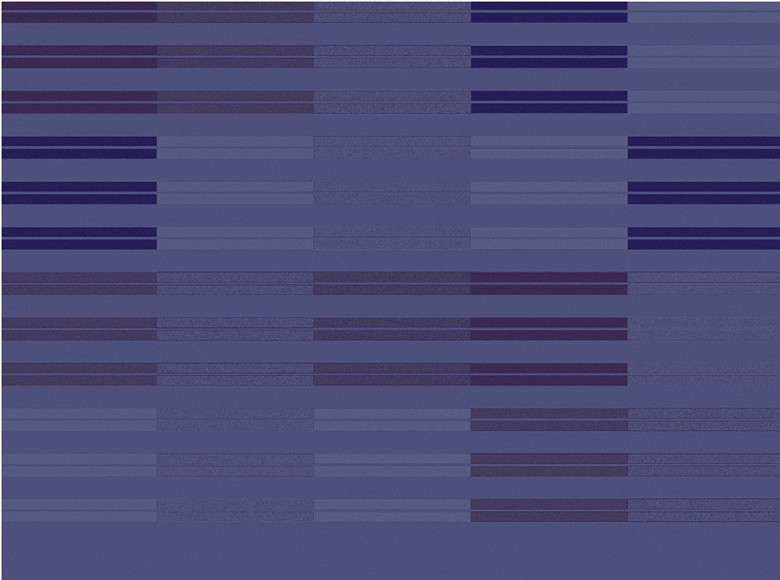 135 fototapetsariaExcess