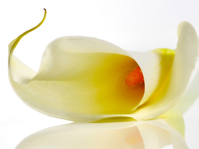 387 fototapetsariaImagination 360Χ270