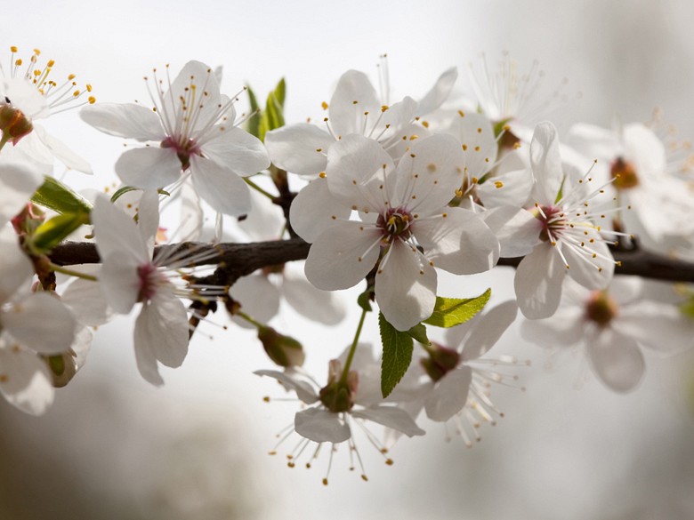 389 fototapetsariaImagination 360Χ270