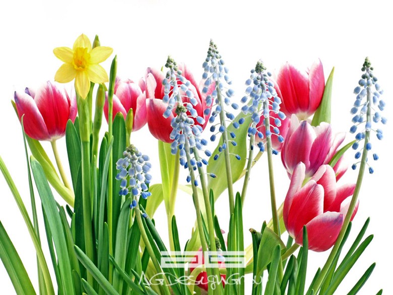 171 fototapetsaria imagination