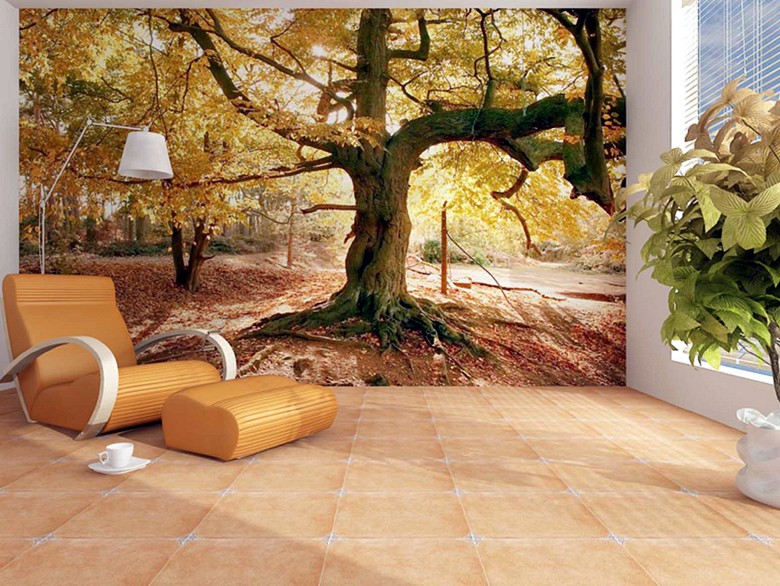 071 fototapetsaria imagination