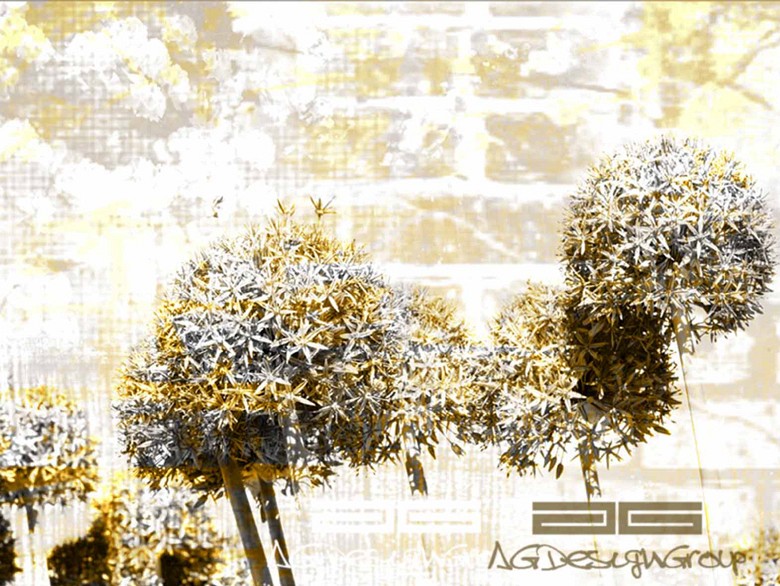 176 fototapetsaria imagination