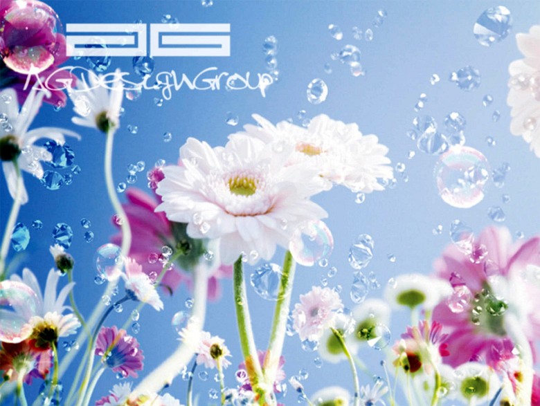 133 fototapetsaria imagination