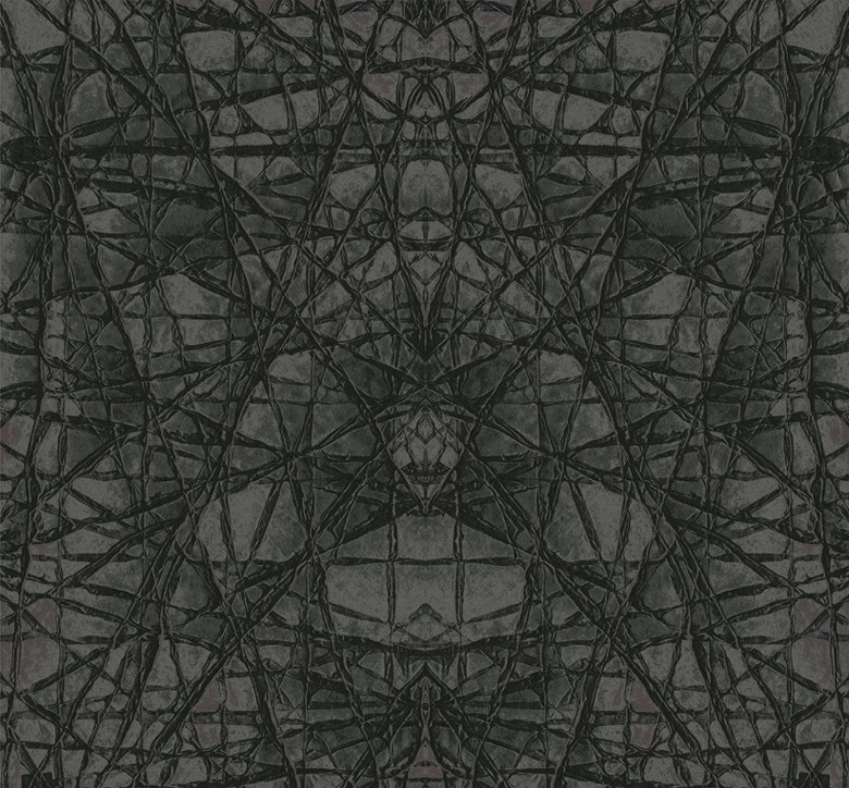 158 fototapetsariaExcess