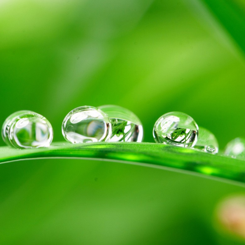 023 FototapetsariaSePlexiglas