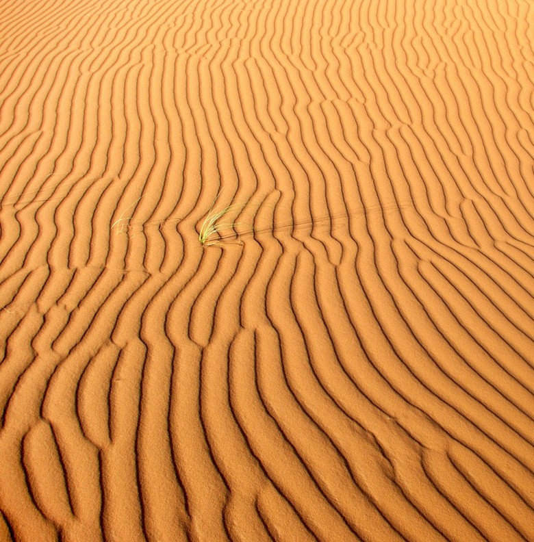 031 FototapetsariaSePlexiglas