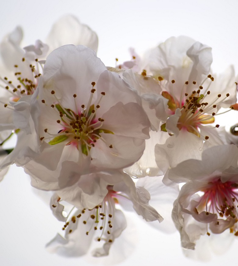 407 fototapetsariaImagination 180X202