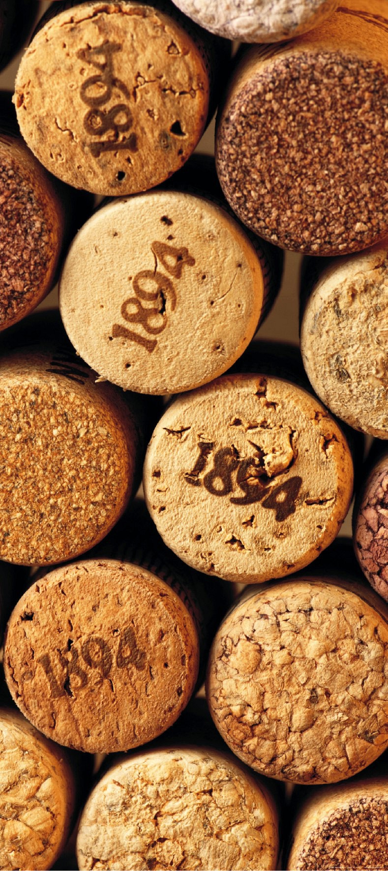 125 wallpapersfordoors