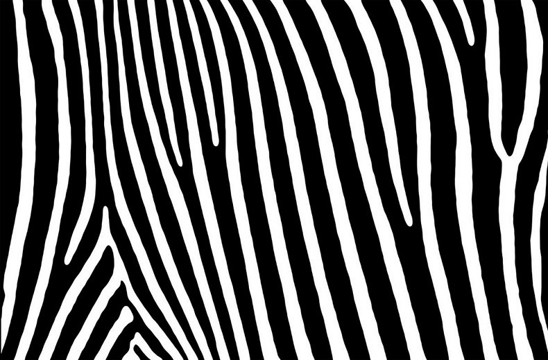 074 FototapetsariaSyl002