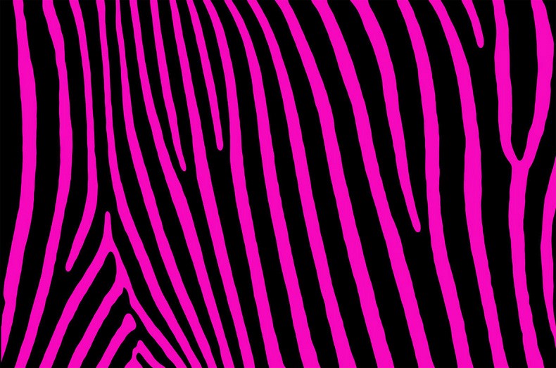 076 FototapetsariaSyl002