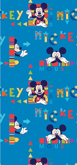 003 ΚΟΥΡΤΙΝΕΣ ΜΕ ΕΚΤΥΠΩΣΗ DISNEY ΜΕ ΤΟ ΜΕΤΡΟ MICROFIBER
